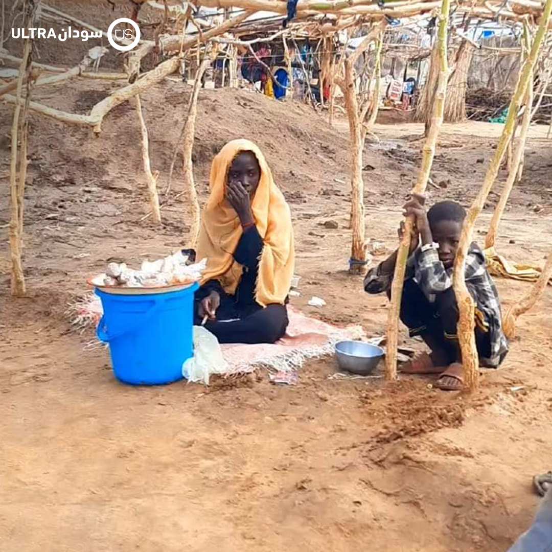 اللاجئون السودانيون في تشاد