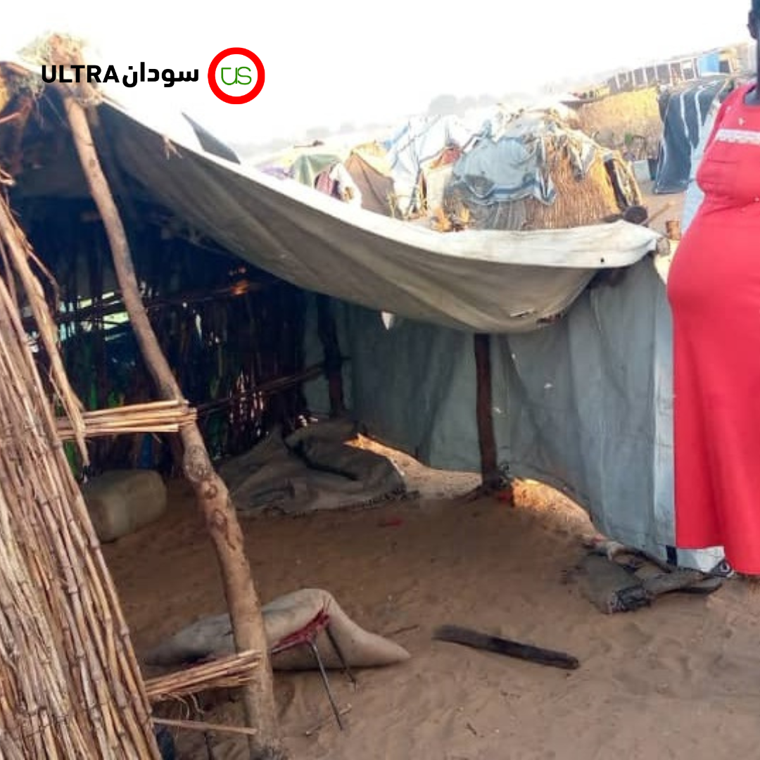 امرأة حامل في معسكر أدري للاجئين السودانيين في تشاد