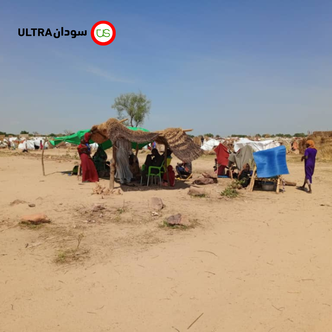 ينشئ اللاجئون السودانيون في تشاد مساكنهم بأنفسهم من المواد المحلية وغيرها من المعينات
