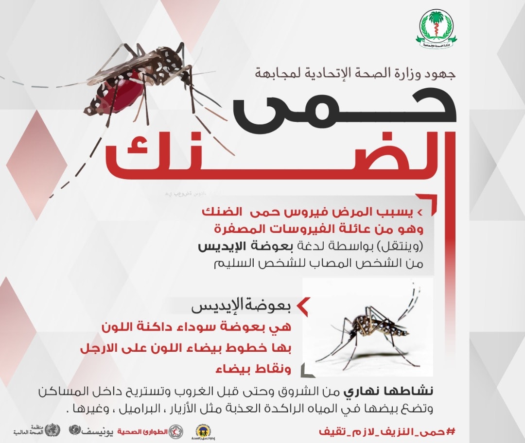 ملصق دعائي من وزارة الصحة الاتحادية لمكافحة حمى الضنك في ولايات السودان 
