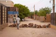ترس في أحد أحياء أم درمان لمنع قوات الدعم السريع من الدخول إلى الحي