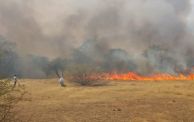 الحريق بمنطقة كساب الإدارية في شرق دارفور