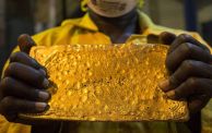 تشير تقارير صحفية وحكومية إلى تهريب كميات كبيرة من الذهب السوداني 