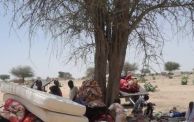 لاجئون من أحداث "تندلتي" بغرب دارفور