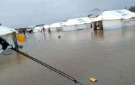 الأمطار في مراكز الإيواء بمدينة كسلا