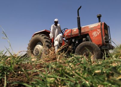 محراث في مشروع الجزيرة الزراعي في السودان