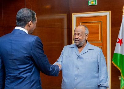 التقى قائد قوات الدعم السريع محمد حمدان دقلو، اليوم الأحد، برئيس جمهورية جيبوتي إسماعيل عمر جيله.