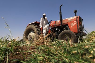 محراث في مشروع الجزيرة الزراعي في السودان