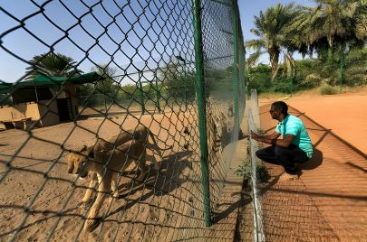 حديقة حيوانات السودان
