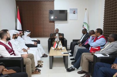 لقاء وزير الصحة السوداني مع السفير القطري