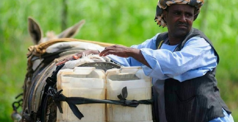 تنقل العربات التقليدية (الكارو) المياه للأحياء مقابل مبالغ من المال (فيسبوك)
