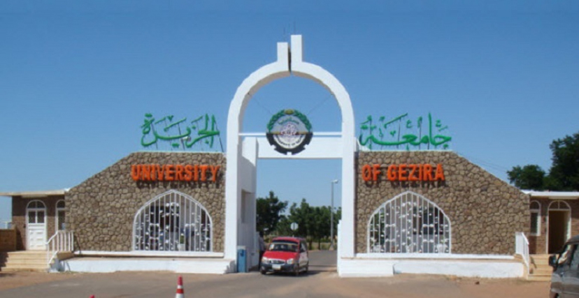 جامعة الجزيرة