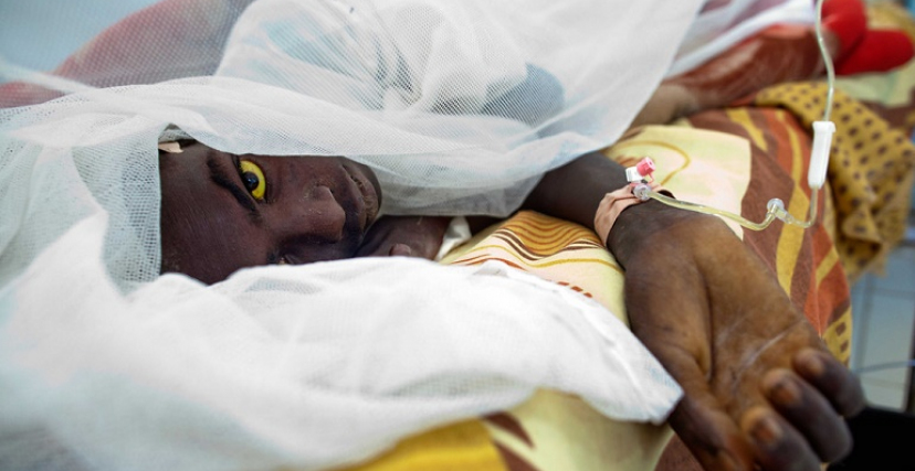 انتشار لحمى الضنك بعدد من ولايات السودان (UN)