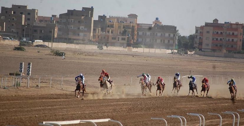 جانب من السباق بمضمار سباق الخيل في الخرطوم (سونا)